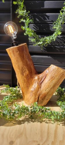Log Lamps